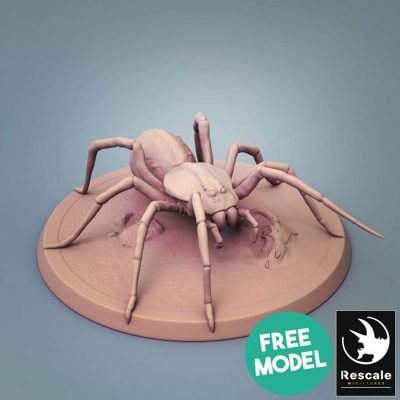 720X720 spider new 1