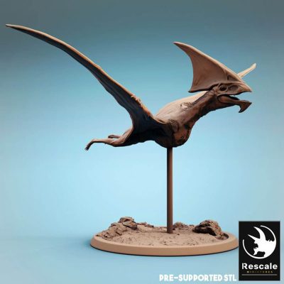 Tupandactylus v.5