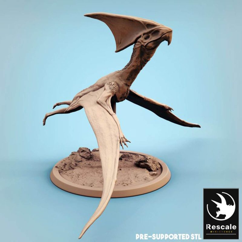 Tupandactylus v.4