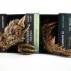 Gold Painted Dragon Head and Tail