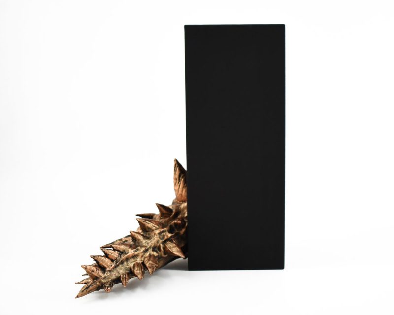 Dragon Book Nook - Image 28
