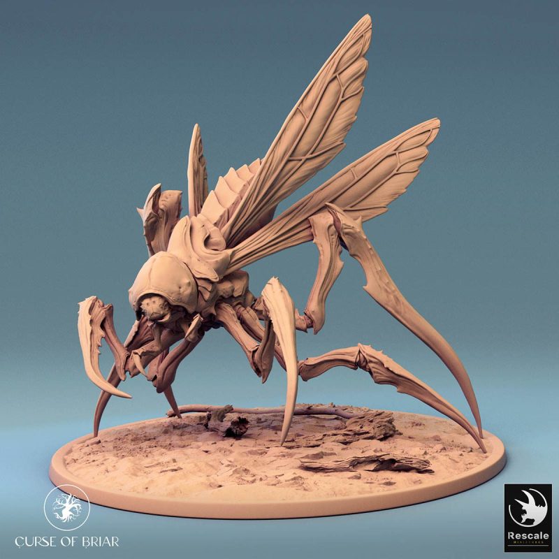 Fyrionis Wild - Image 4
