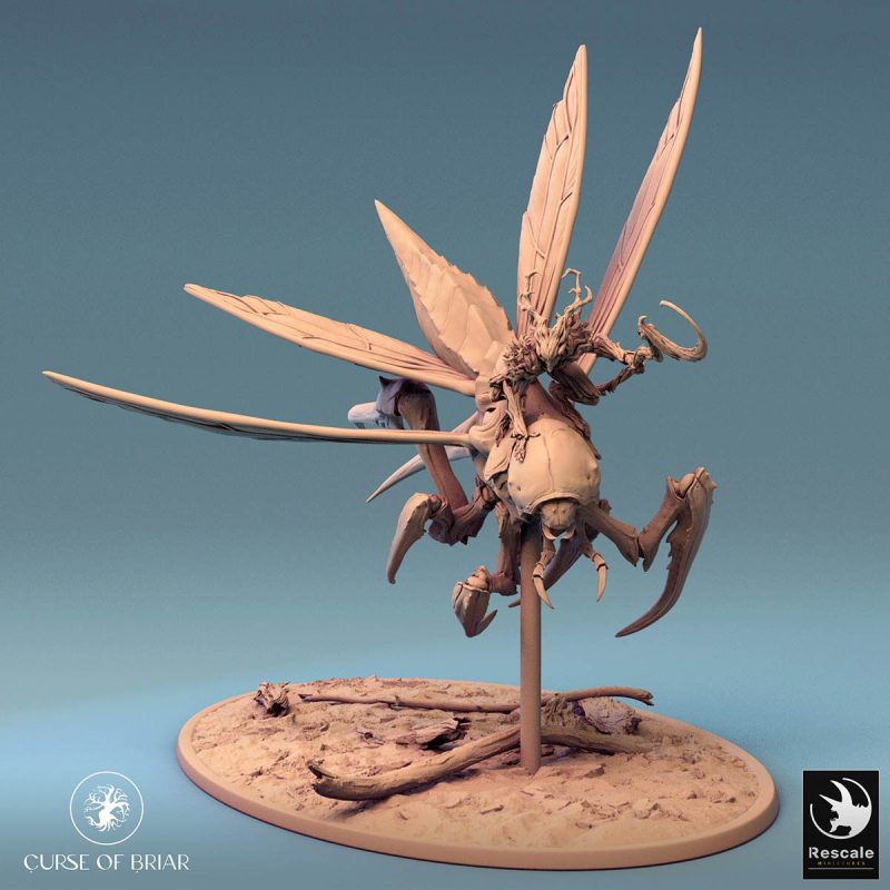 Curse of Briar Fyrionis FlyTurn2 M 01 02.6411 1