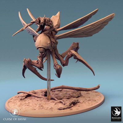 Curse of Briar Fyrionis Fly M 01 02.5953 1