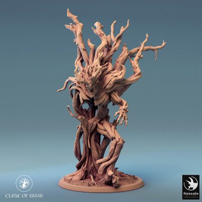 Curse of Briar Lignar Walk 01 02.6122 1