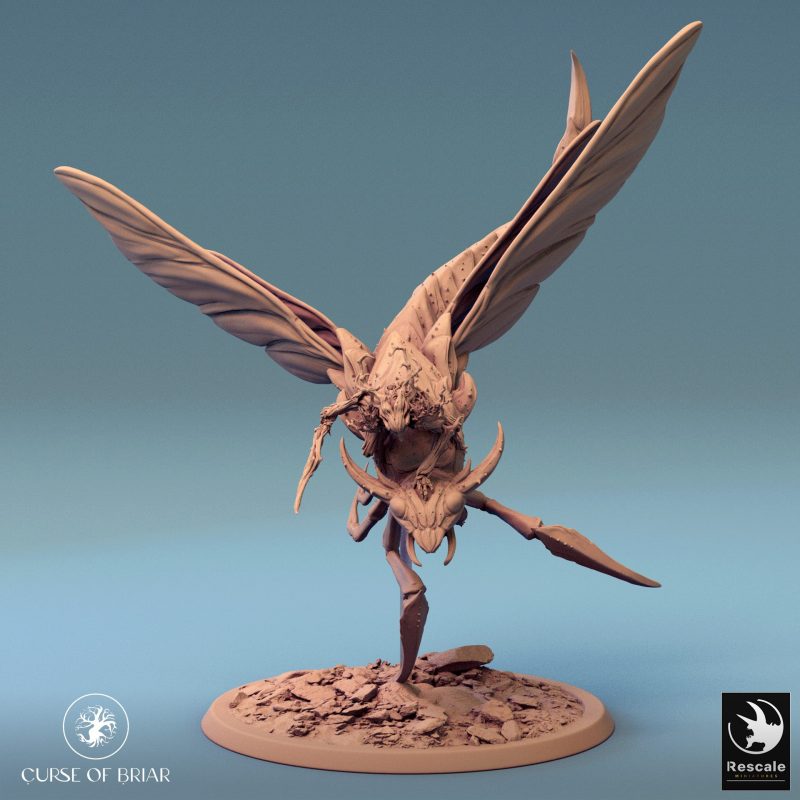 Curse of Briar SkyCutter Fly M 01 02.6151 copie 1