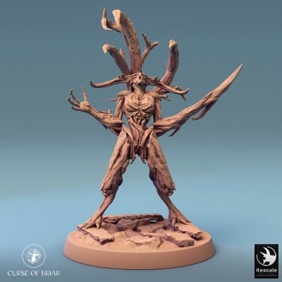Woodfey V1