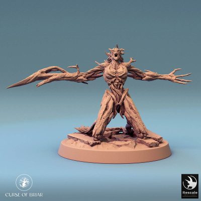 Curse of Briar WoodFey Protect I 02.6314 1