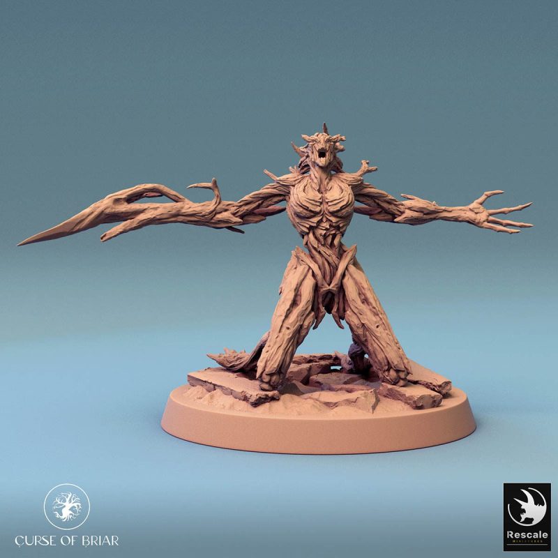 Curse of Briar WoodFey Protect I 02.6314 1