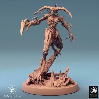 Curse of Briar WoodFey observe I 02.6284 1