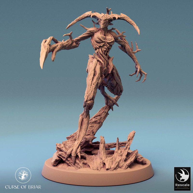 Curse of Briar WoodFey observe I 02.6284 1