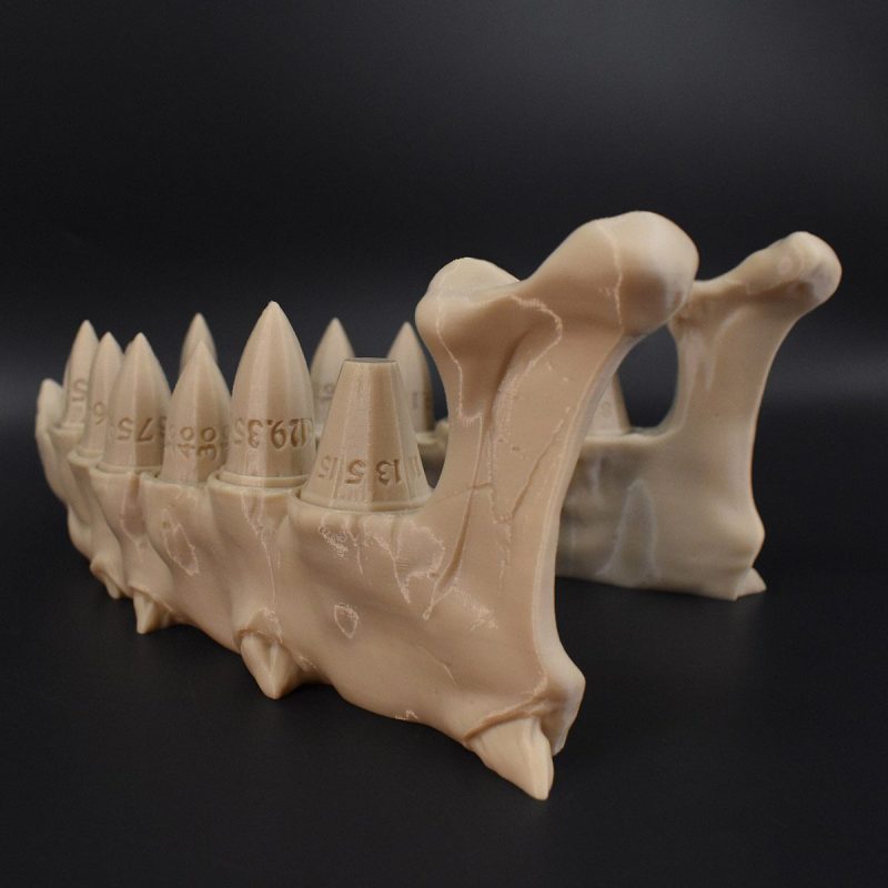Dragon Teeth Dice Set - Image 4